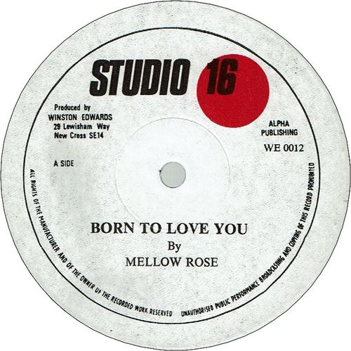 BORN TO LOVE YOU (VG+) / BORN TO DUB YOU (VG+)