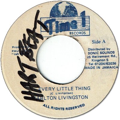 EVERY LITTLE THING (VG+/WOL)